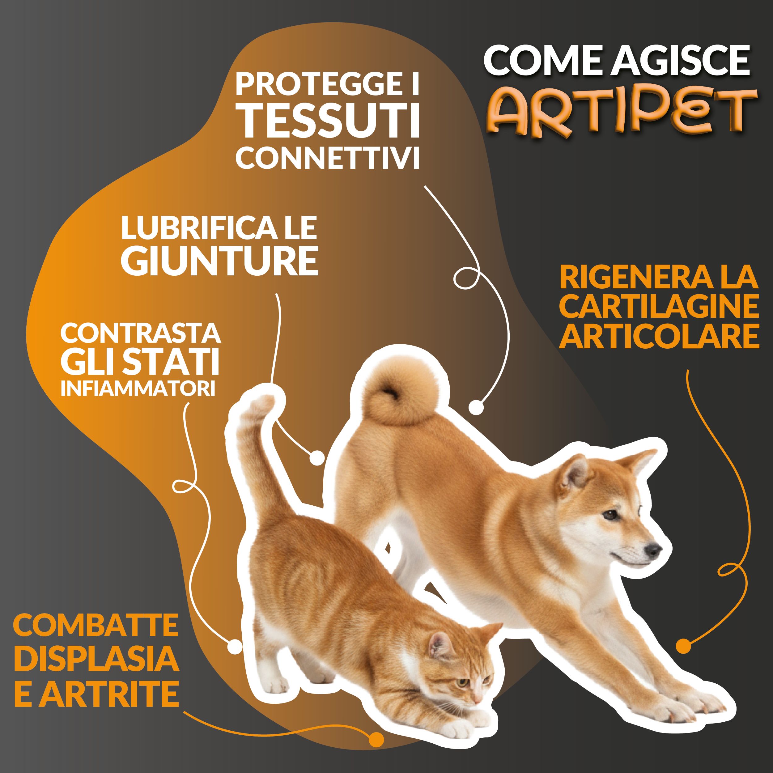 Artipet Integratore Cane Gatto | Glucosamina, Condroitina, MSM e Artiglio del Diavolo