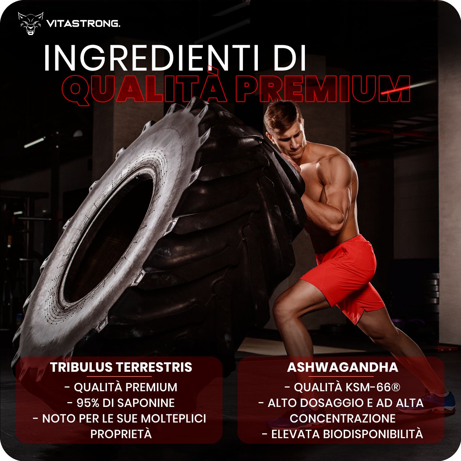 Bottiglia Vitastrong Testobooster con icone ingredienti: Tribulus, Ashwagandha, Vitamina D, Zinco, Ferro.