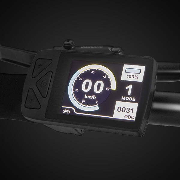 Computer di bordo con display. Mostra velocità, modalità, batteria e chilometraggio. Scatola nera con pulsanti.