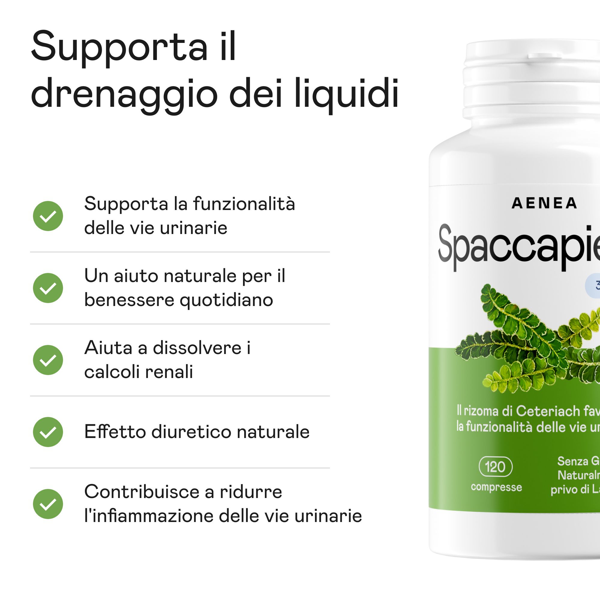 Flacone bianco di compresse Aenea Spaccapietra. Testo: Supporta la funzionalità urinaria, aiuta a sciogliere i calcoli renali, effetto diuretico naturale.