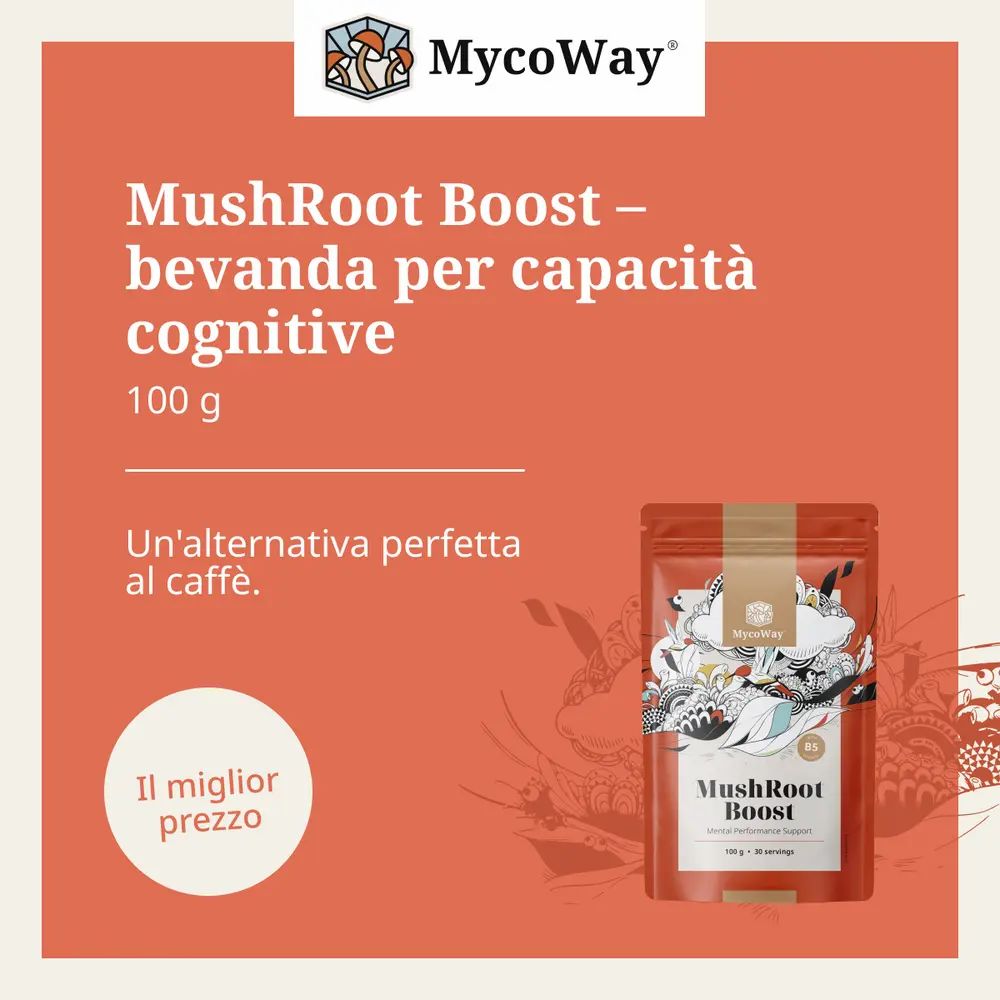 Busta MycoWay MushRoot Boost. Testo: Bevanda per capacità cognitive. 100 g. Perfetta alternativa al caffè. Il miglior prezzo.