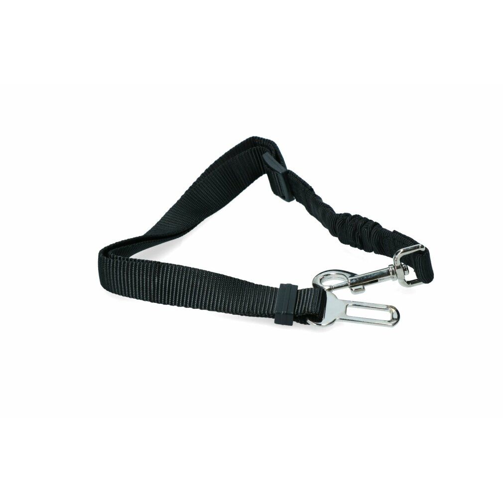 Cintura di sicurezza per cani
