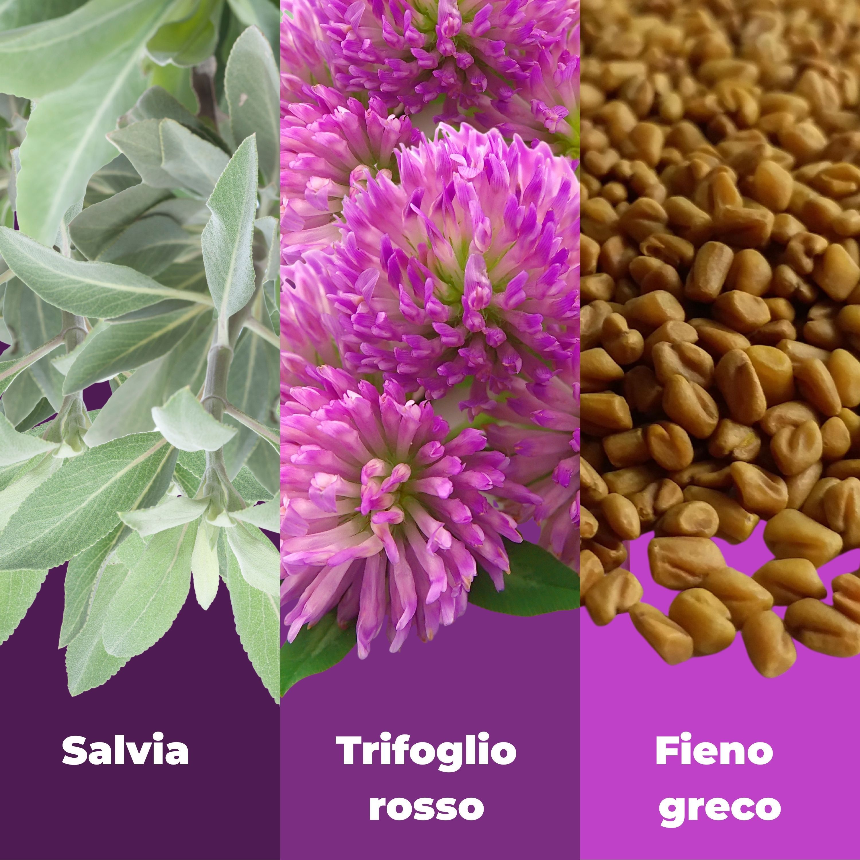 Aloha Labs Menopausa Peso – Integratore per l'Equilibrio del Peso e i Disturbi della Menopausa