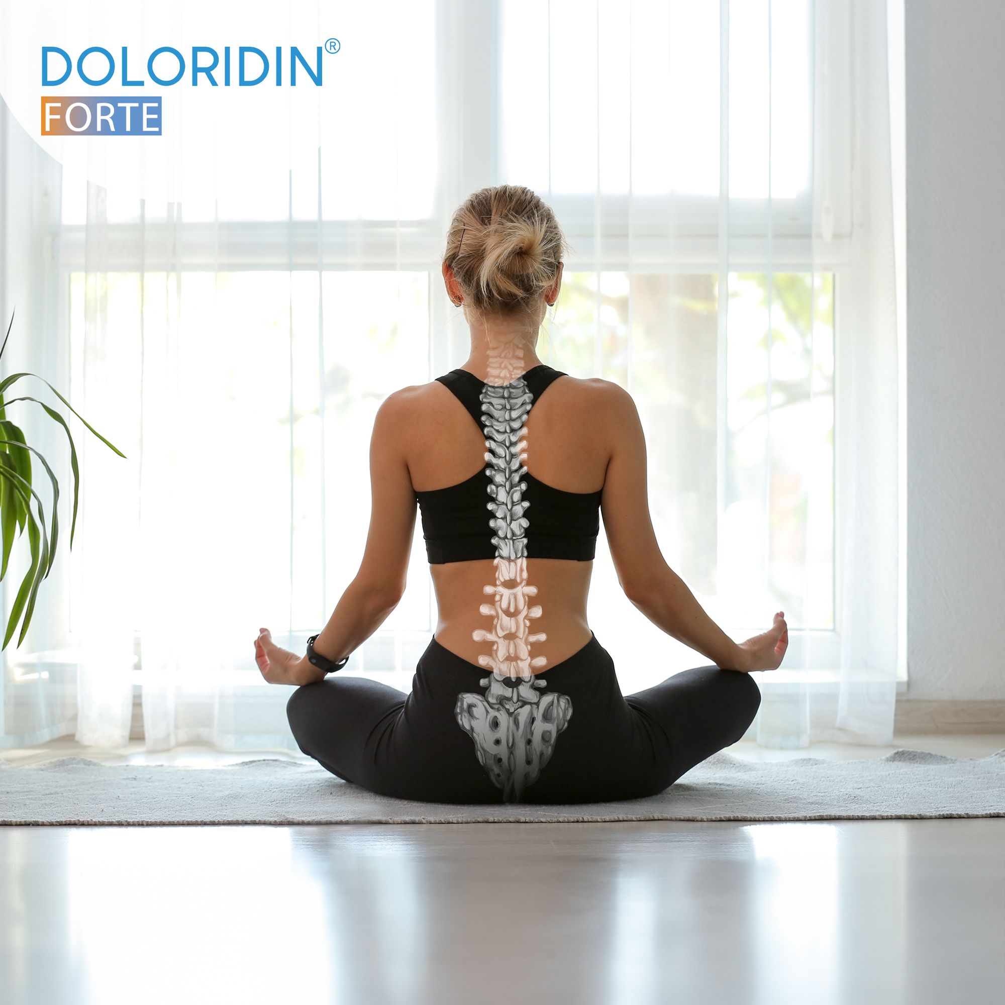 Vista posteriore di una donna seduta a gambe incrociate. Sovrapposizione: scheletro della colonna vertebrale. Logo Doloridin Forte in alto a sinistra.