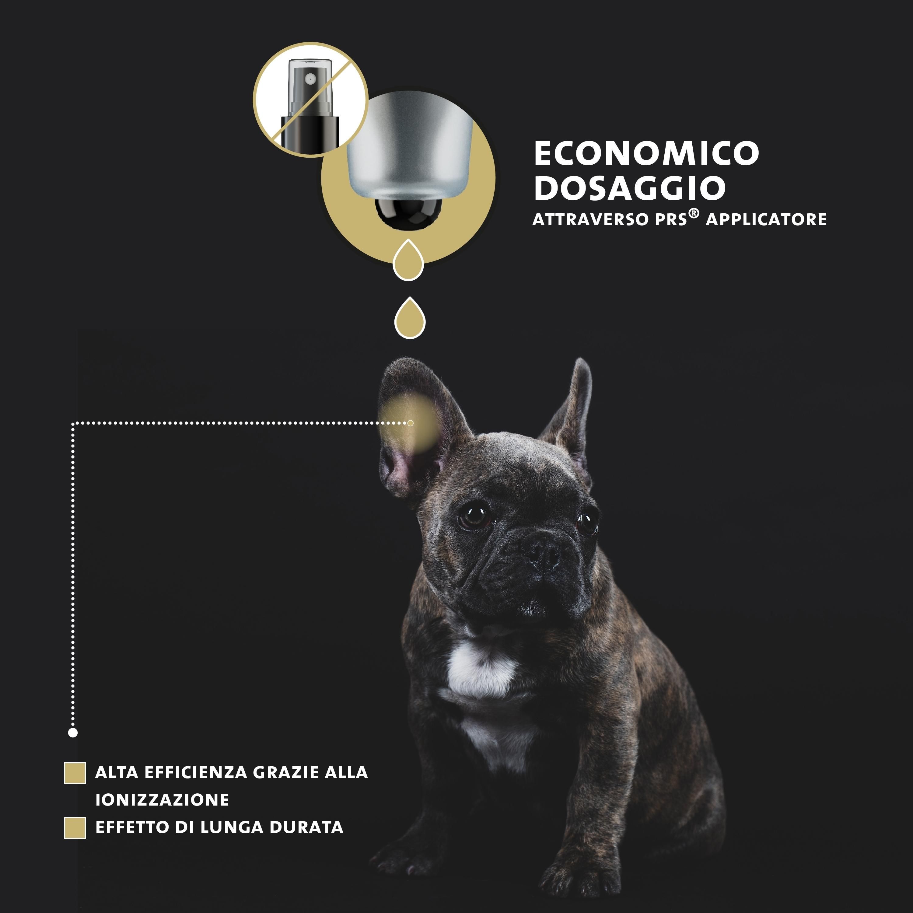 Bulldog francese. Applicatore del prodotto. Testo: Dosaggio economico tramite applicatore PRS. Alta efficacia grazie all'ionizzazione.