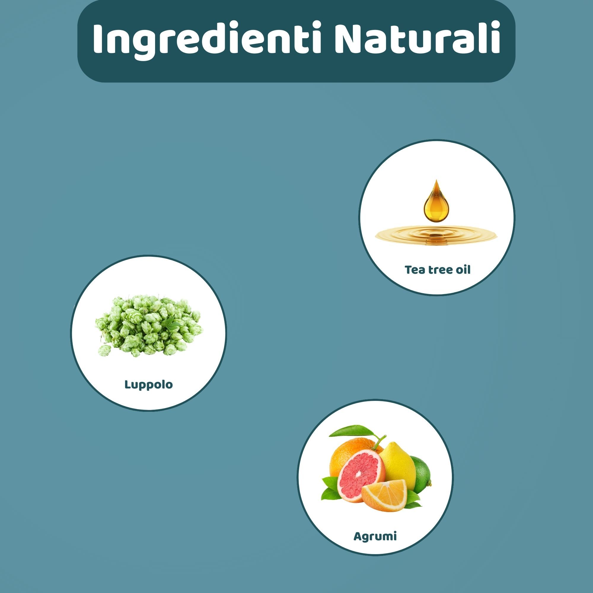 Grafica con ingredienti: Luppolo, olio di tea tree e agrumi. Testo: Ingredienti naturali.