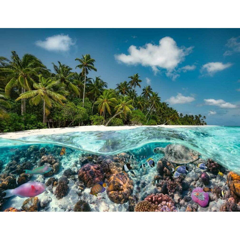Puzzle Un'immersione alle Maldive (2000 pezzi)