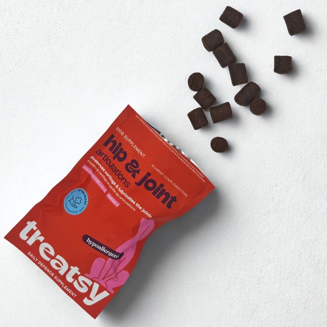 Busta rossa « Hip & Joint » per cani. Snack marroni accanto. « Ipoallergenico » e « Treatsy ».