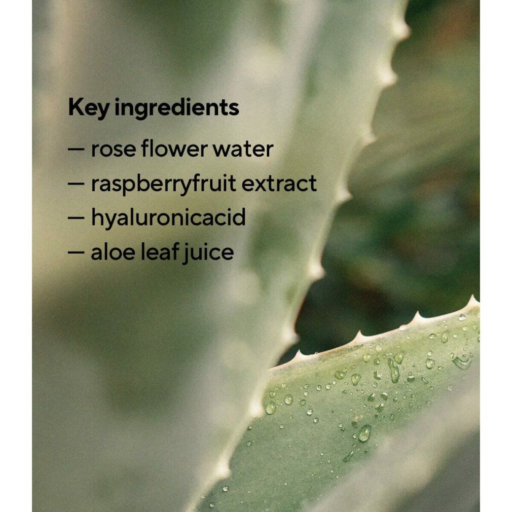 Primo piano di foglia di aloe vera. Testo: Key ingredients, Rose Flower Water, Raspberryfruit Extract, Hyaluronic Acid, Aloe Leaf Juice.