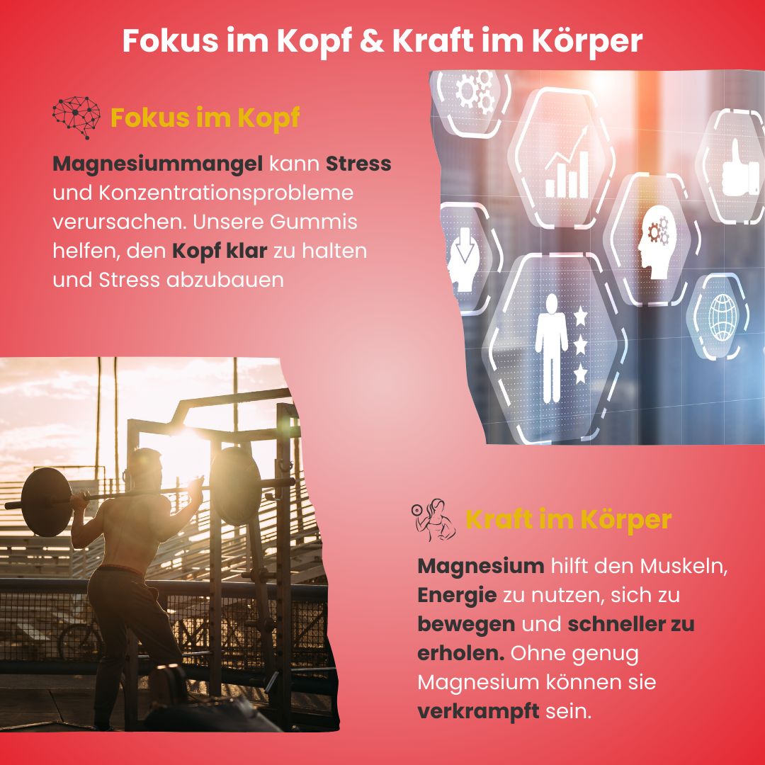 Due foto: uomo in palestra, sollevamento pesi. Grafici con cervello e corpo. Testo: Concentrazione, forza.