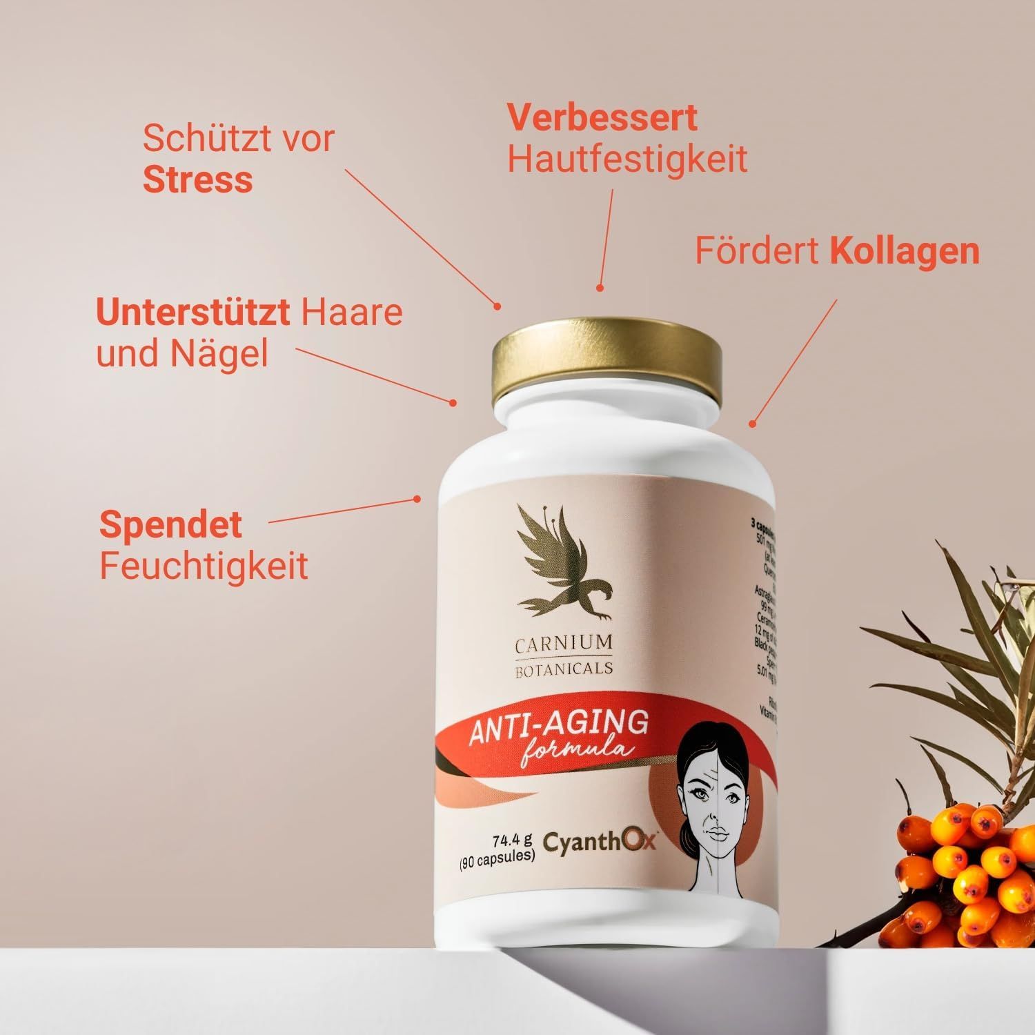 Flacone con tappo dorato. Testo: Carnium Botanicals, Anti-Aging formula. Frecce indicano i benefici.