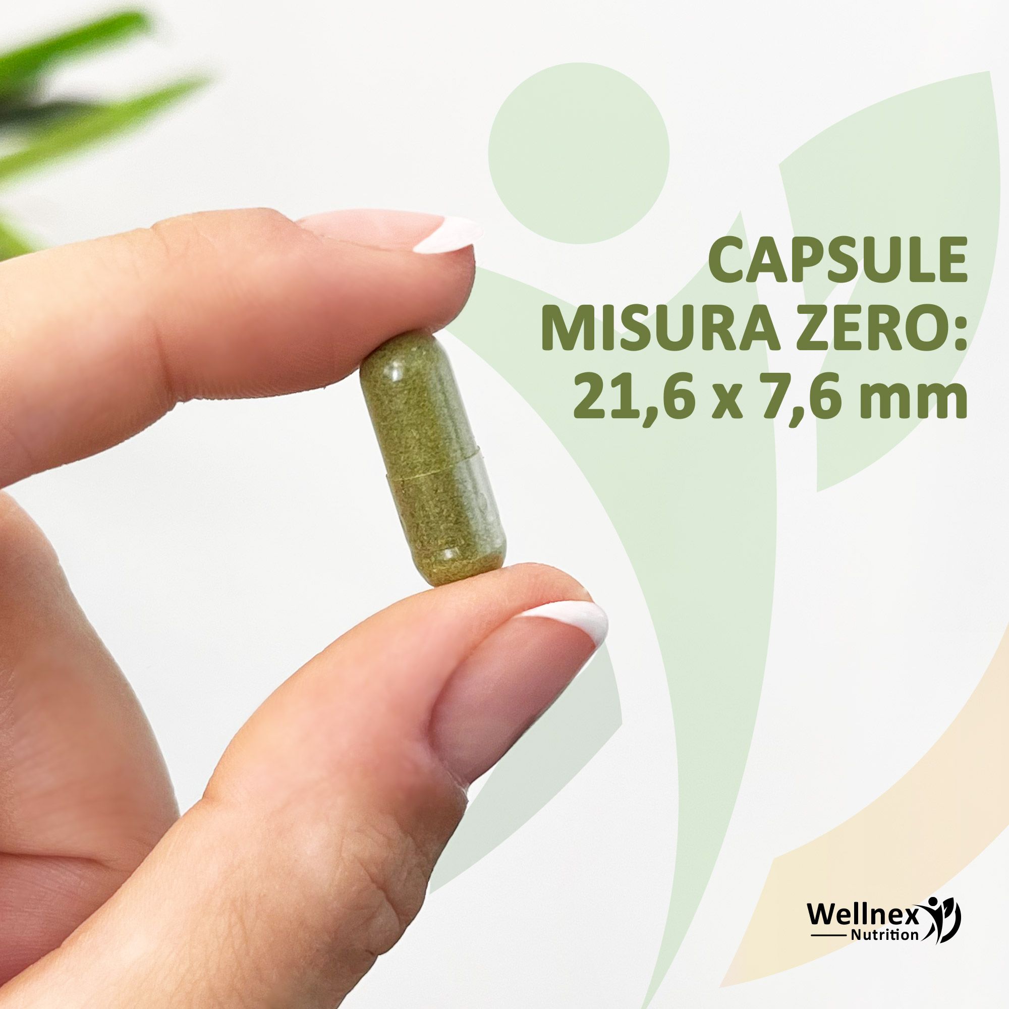 Wellnex Nutrition - Moringa Biologica in Capsule vegetali 90 Capsule Integratore Alimentare