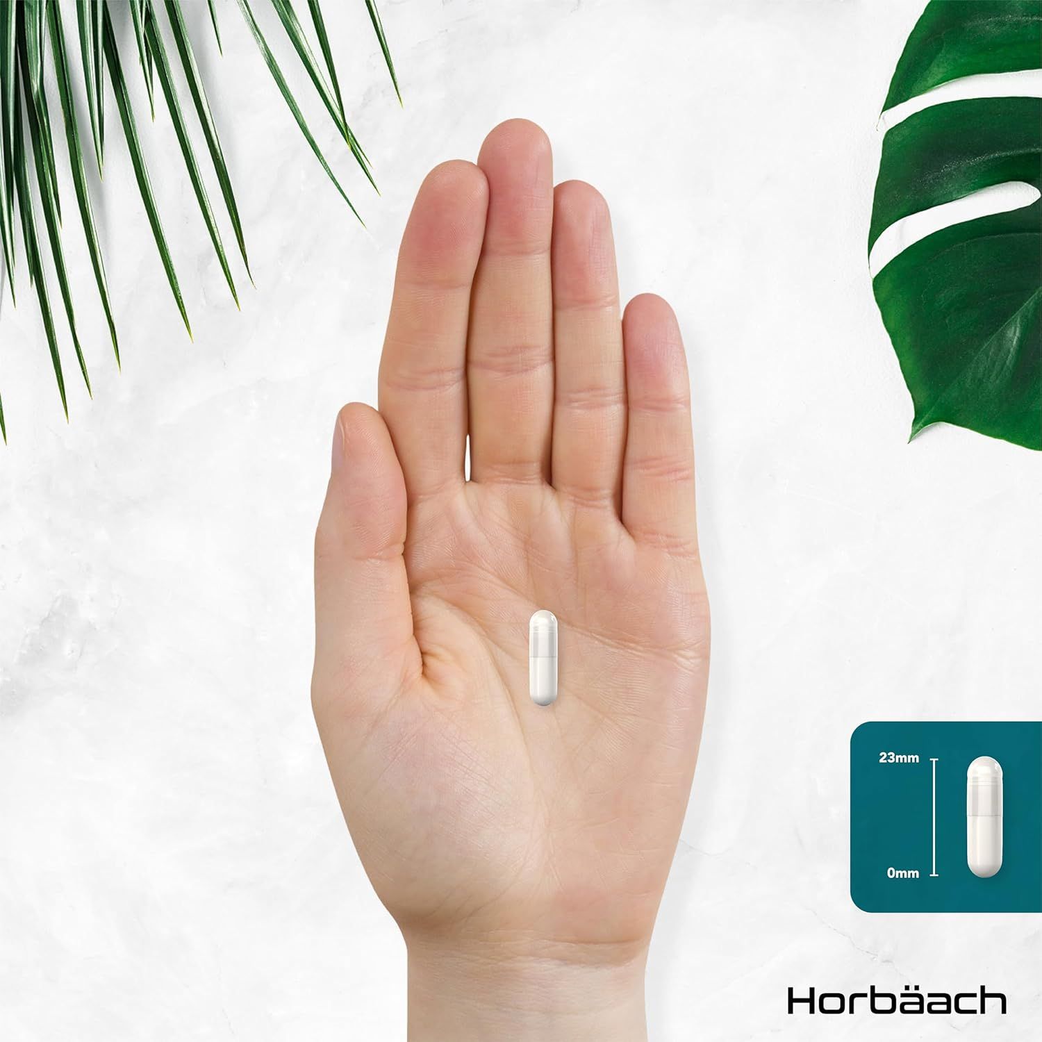 Capsula in mano. Dimensioni: 23mm x 0mm. Logo Horbaach.