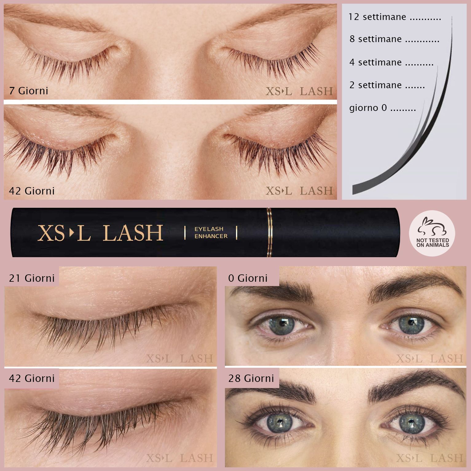 Immagini comparative di ciglia su 7, 21 e 42 giorni. Flacone del prodotto con la scritta XS LASH. Simbolo del coniglio.