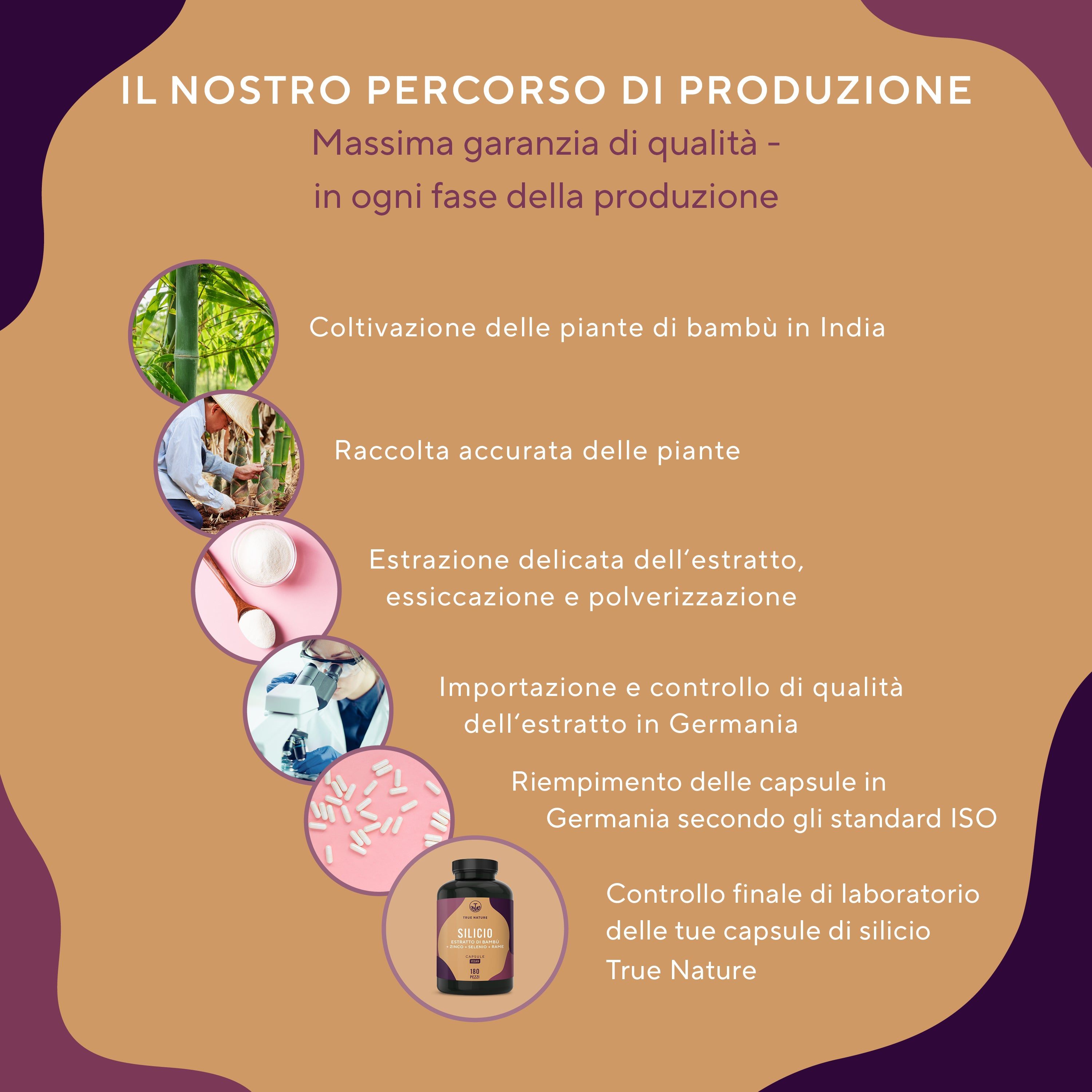 Processo produttivo. Immagini della coltivazione del bambù, della raccolta, dell'estrazione, del controllo qualità, della produzione di capsule, del controllo finale.