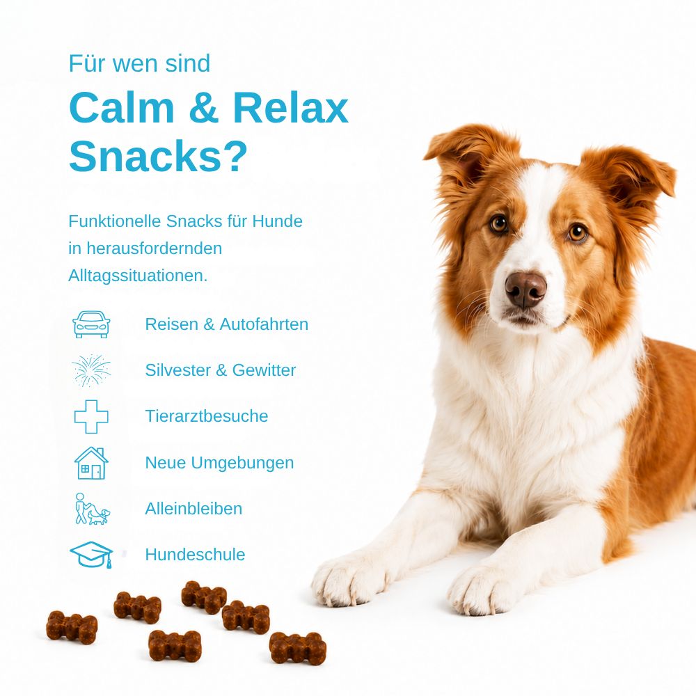 Un cane è sdraiato accanto a un elenco di situazioni in cui gli "SNACK CALMANTI" sono utili.