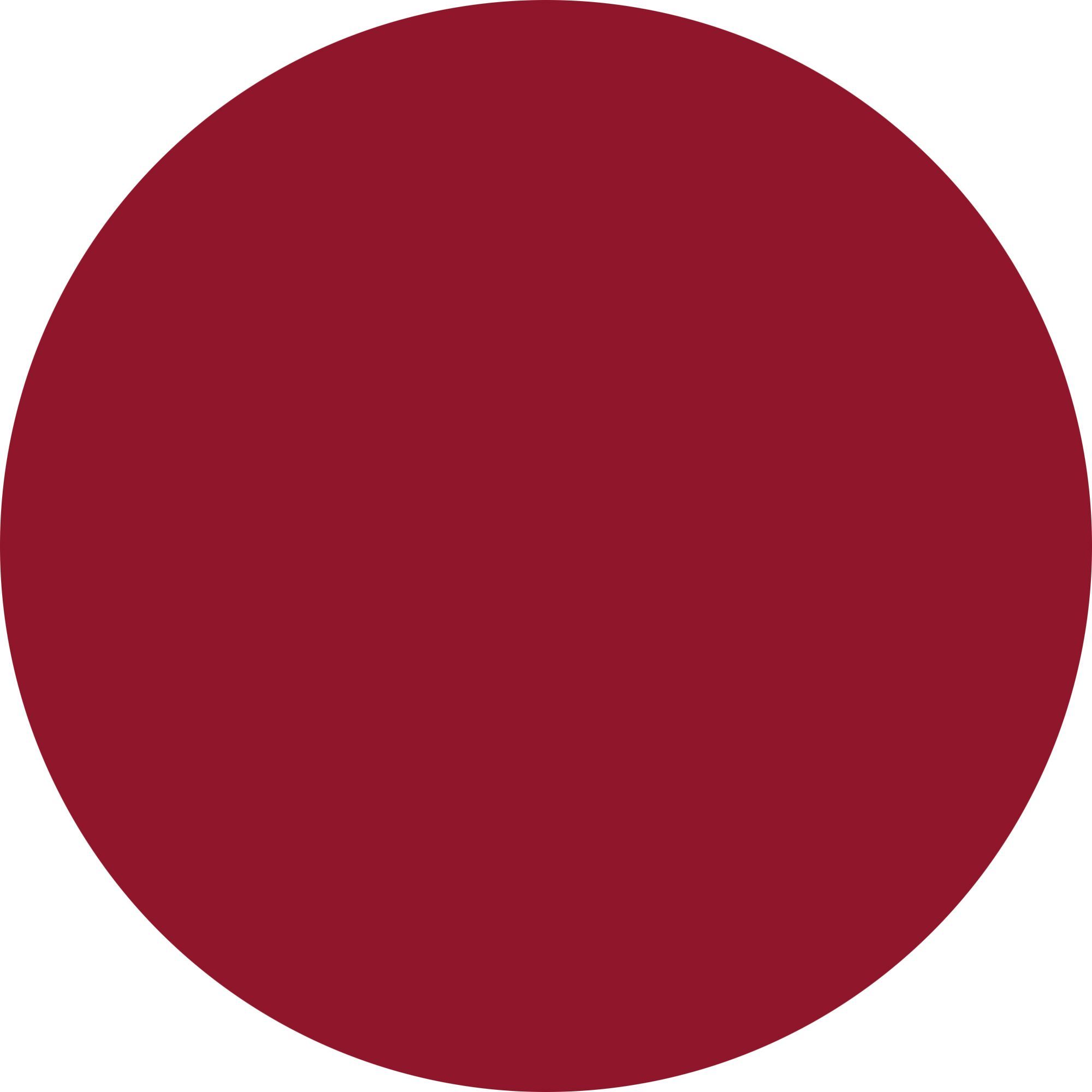 WYCON cosmetics matt nail lacquer - smalto 8