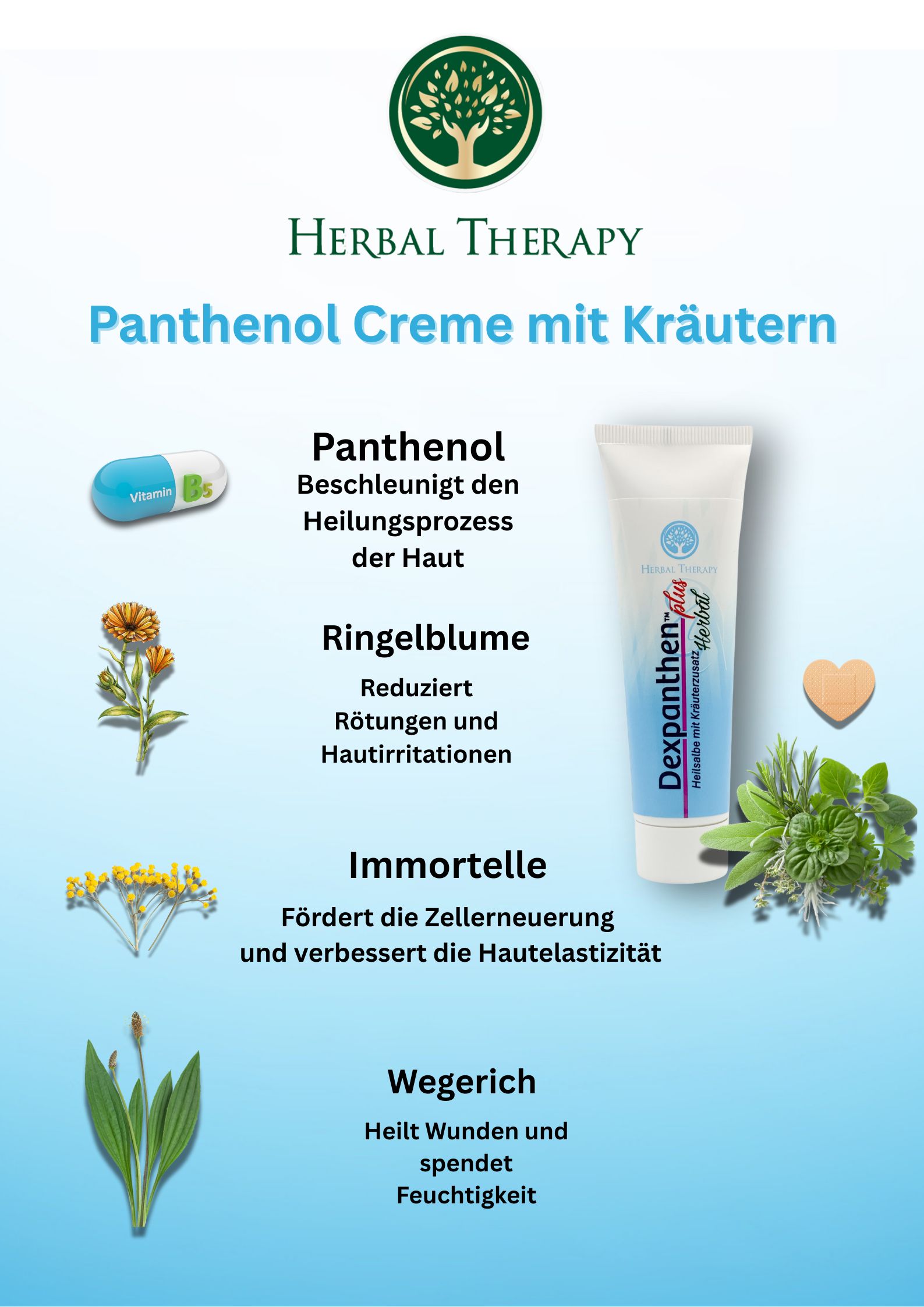 Poster pubblicitario con Herbal Therapy Panthenol Crema alle erbe. Tubo, erbe, cerotto e illustrazioni degli ingredienti.