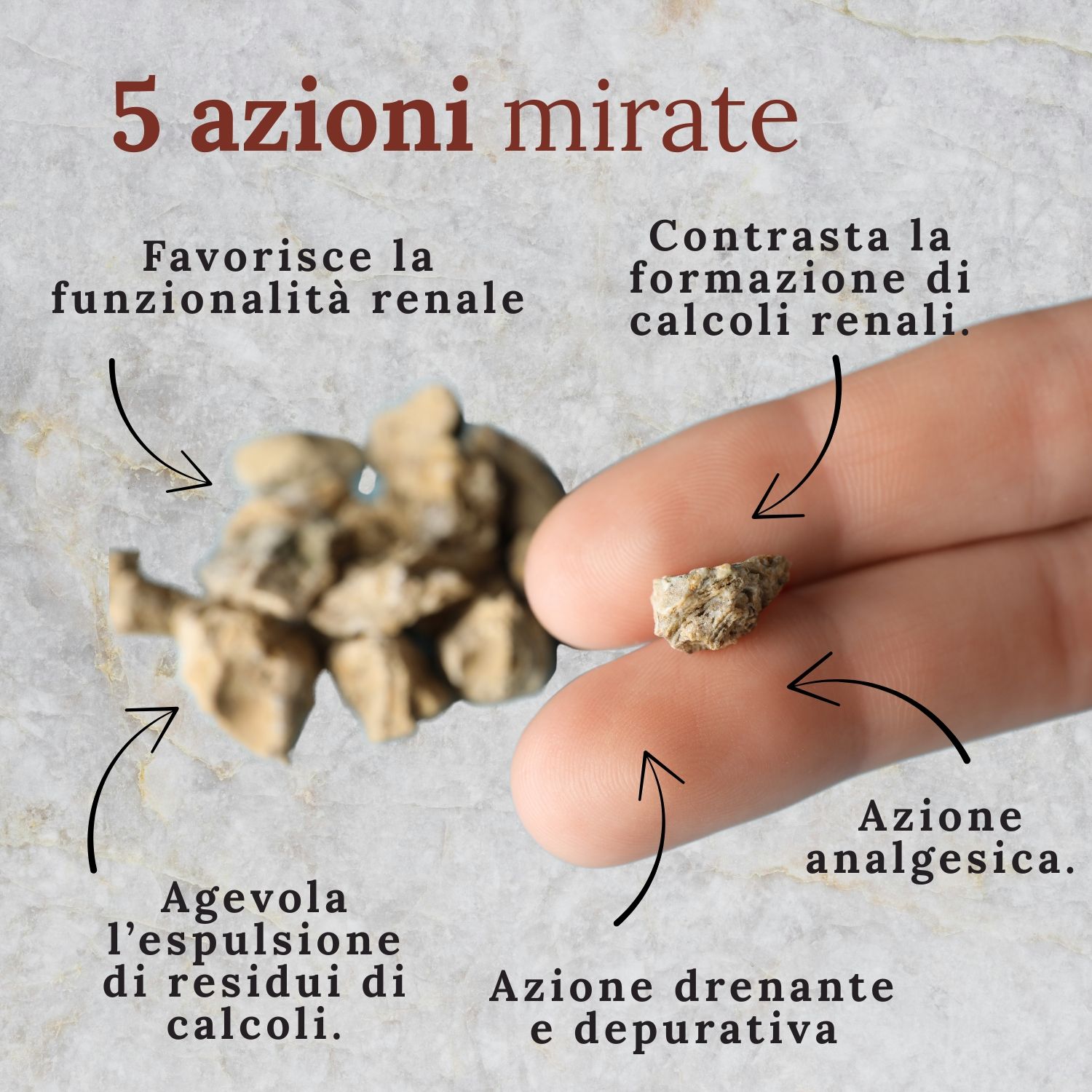 Wellvit | Tekovit, Spaccapietre, Integratore per Calcoli Renali, Drenaggio Liquidi