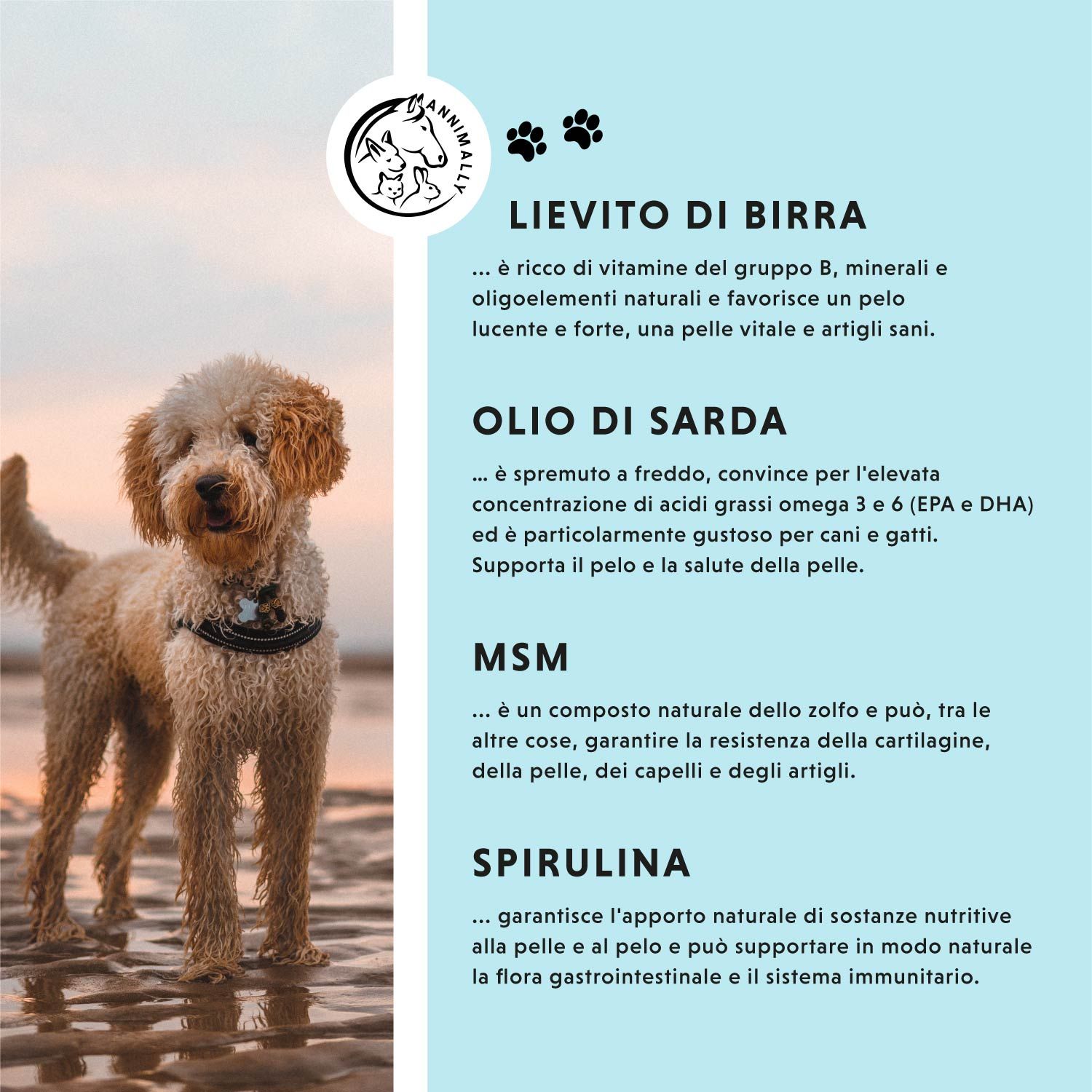 Testo su sfondo blu. Logo. Cane sulla spiaggia. Testo: Lievito di birra, olio di sardina, MSM, spirulina.