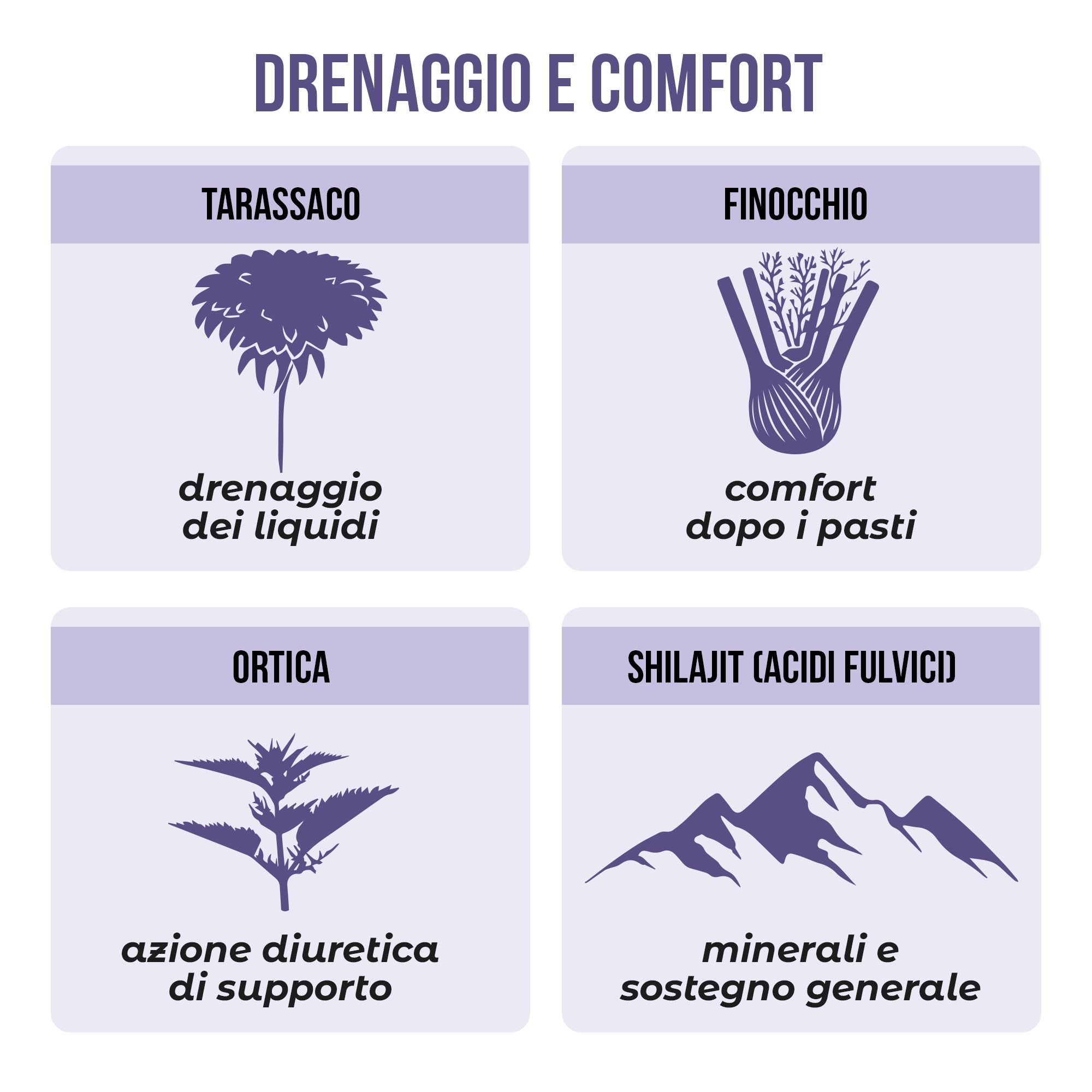 Illustrazione di tarassaco con testo 'drenaggio dei liquidi'.