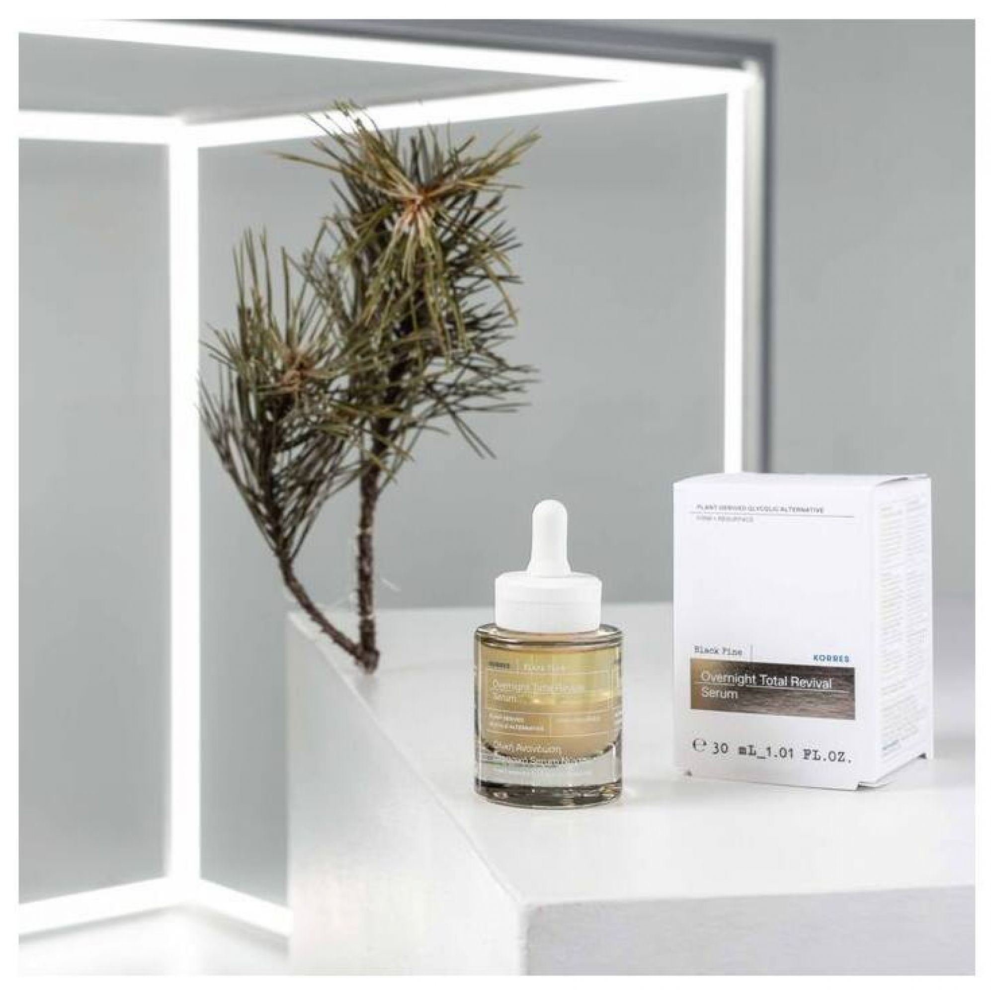 Siero KORRES Black Pine accanto a una decorazione di ramo di pino e una scatola di cartone.