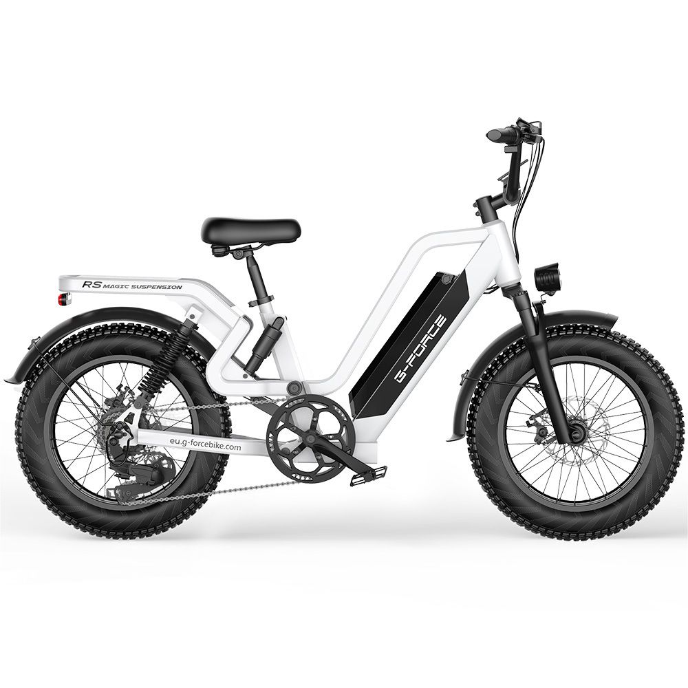 G-FORCE RS ST Bicicletta elettrica da 20 pollici per tutti i terreni, batteria da 48 V 20 Ah