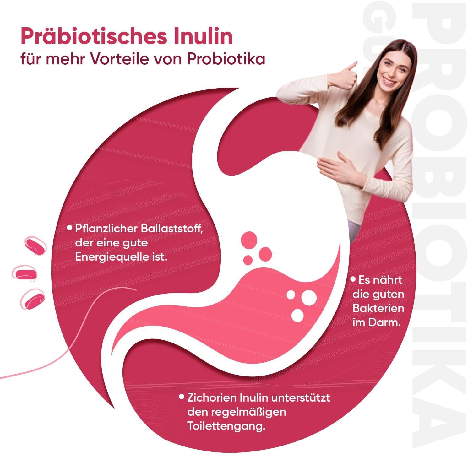 Schema dell'intestino. Testo: Inulina prebiotica. Testo: Fibra vegetale. Testo: L'inulina di cicoria favorisce la regolarità intestinale.
