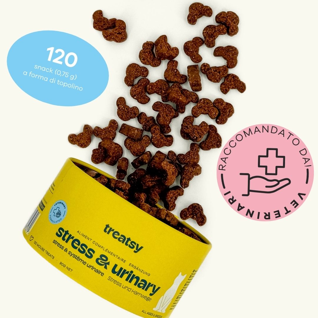 Barattolo giallo con scritta e snack marroni a forma di gatto. Cerchi blu e rosa.