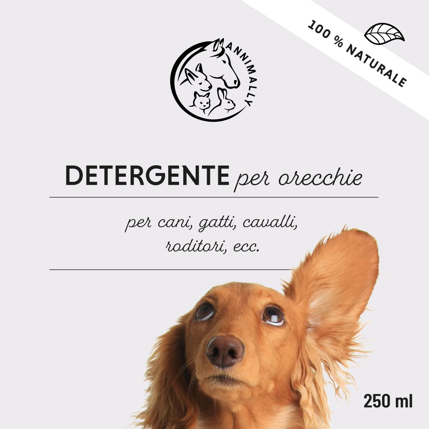 Etichetta del prodotto con logo e testo: DETERGENTE per orecchie. Per cani, gatti, cavalli, roditori, ecc. 250 ml. Cane con orecchio sollevato.