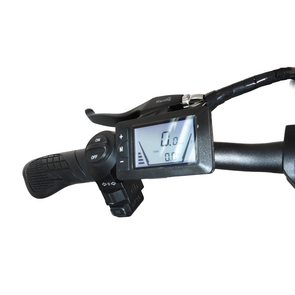 BAOLUJIE DZ2002 Bicicletta elettrica per adulti, batteria rimovibile da 48 V 16 Ah