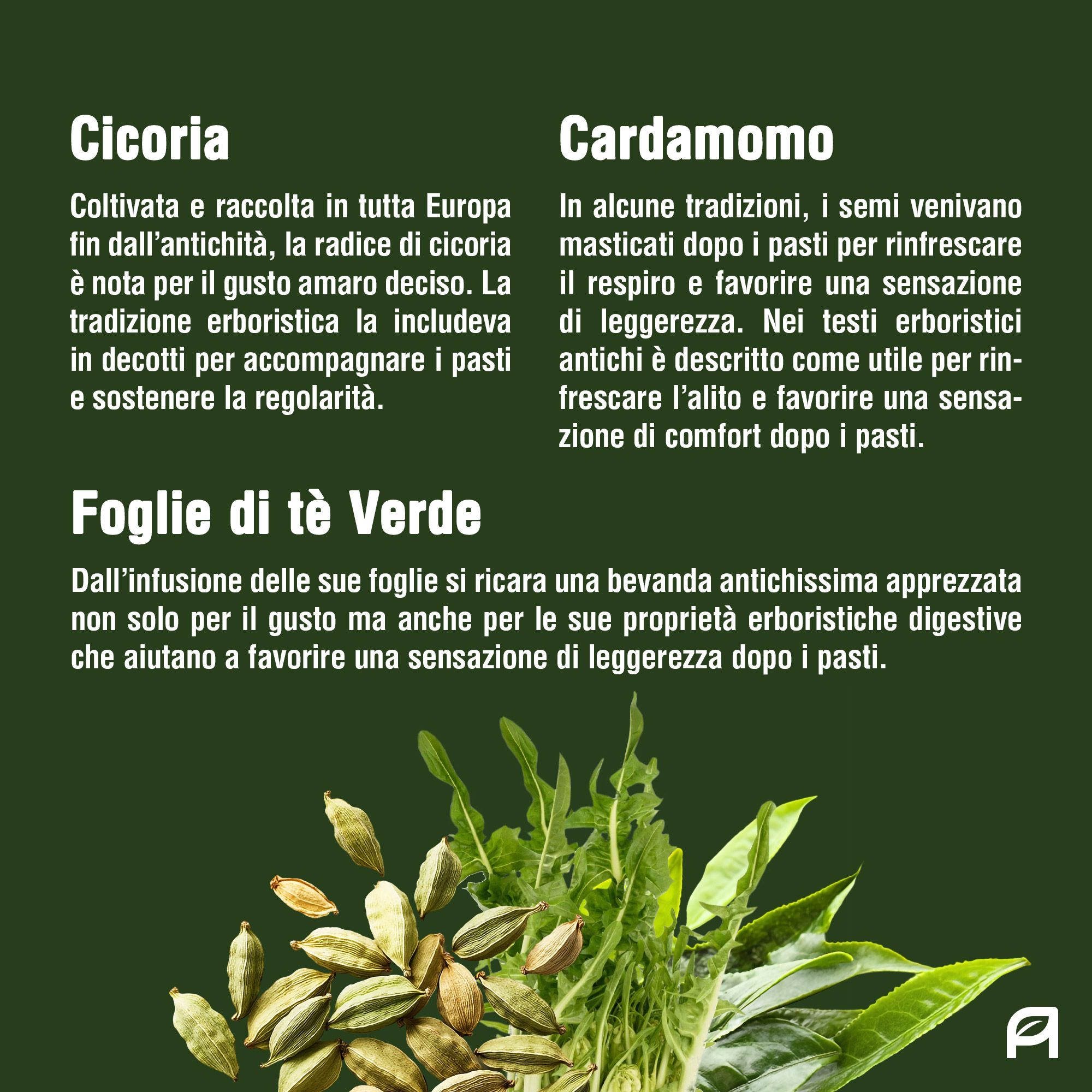 Vitativ® Vita Bitter | Integratore Amaro Forte, 9 Estratti da Piante con Carciofo, Genziana, Zenzero