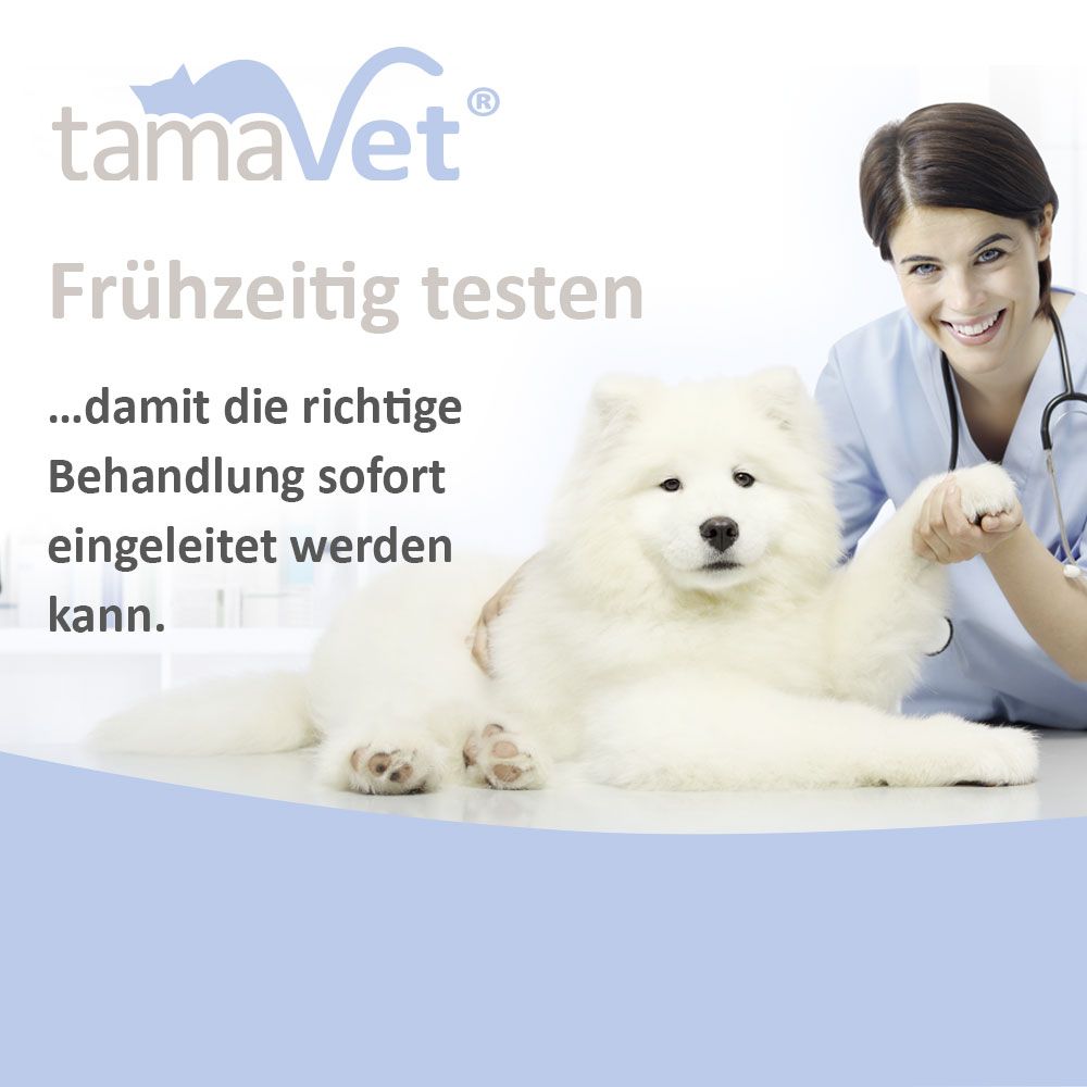 tamaVet test rapido per Giardia per cani e gatti