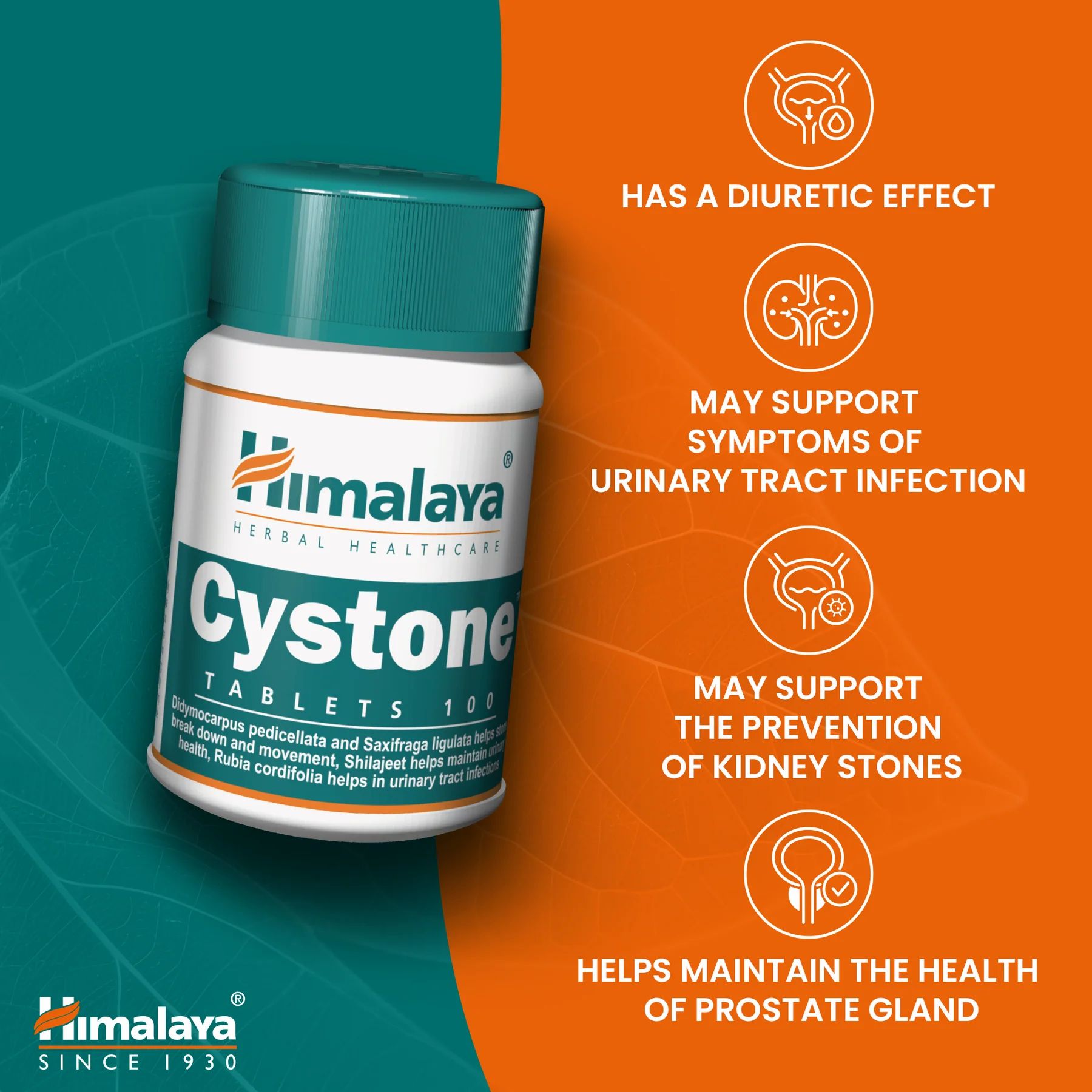 Himalaya Cystone compresse in bottiglia. Testo: Ha un effetto diuretico. Può supportare i sintomi di un'infezione del tratto urinario.