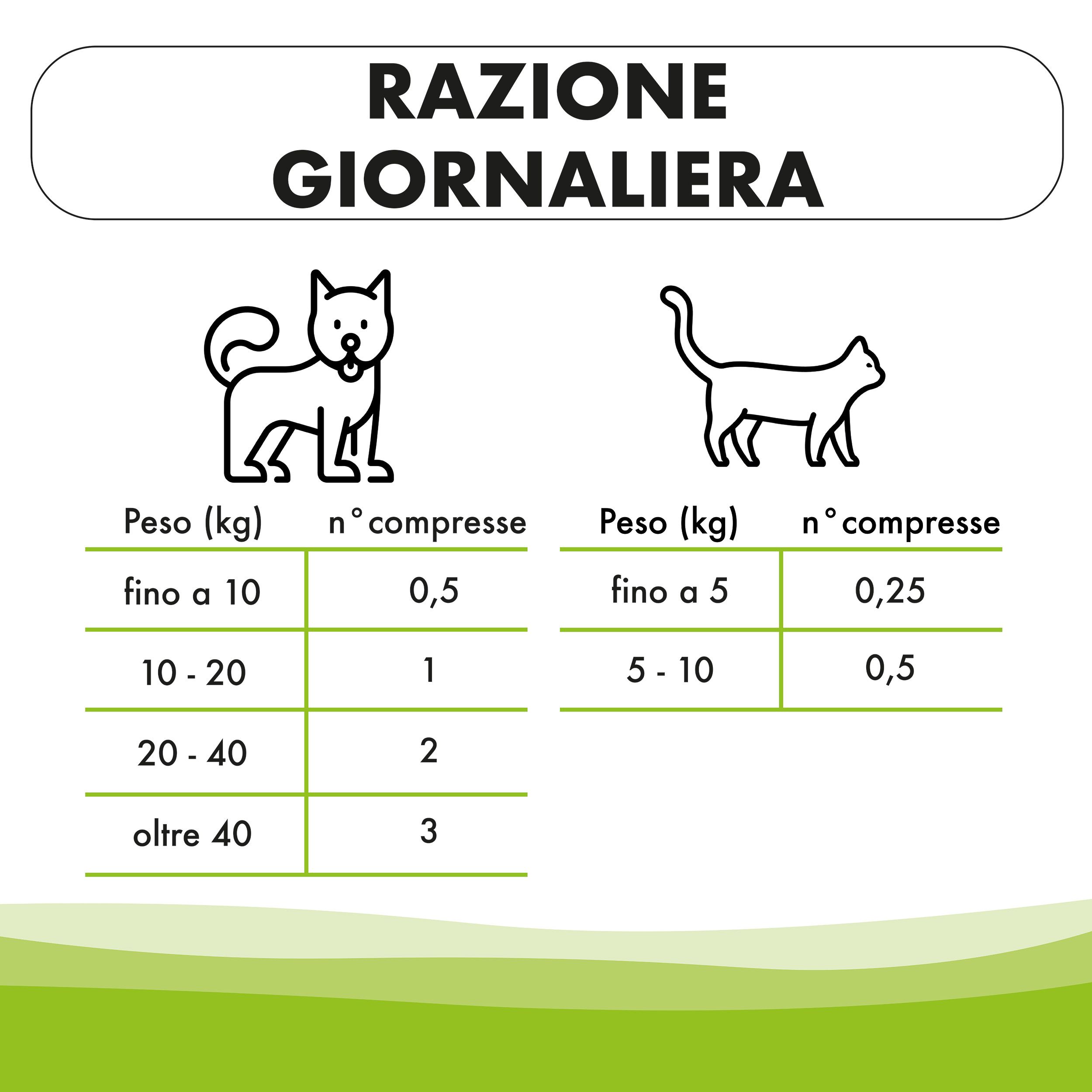Dose giornaliera di VIGORBEN. Tabelle per cani e gatti per peso.