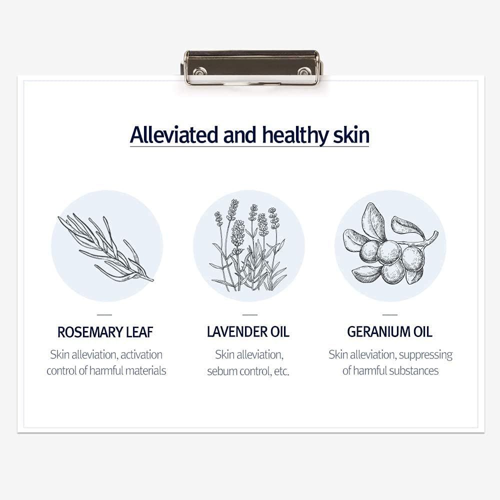Disegno di oli: Rosmarino, lavanda, geranio. Testo su lenitivo e salute della pelle.