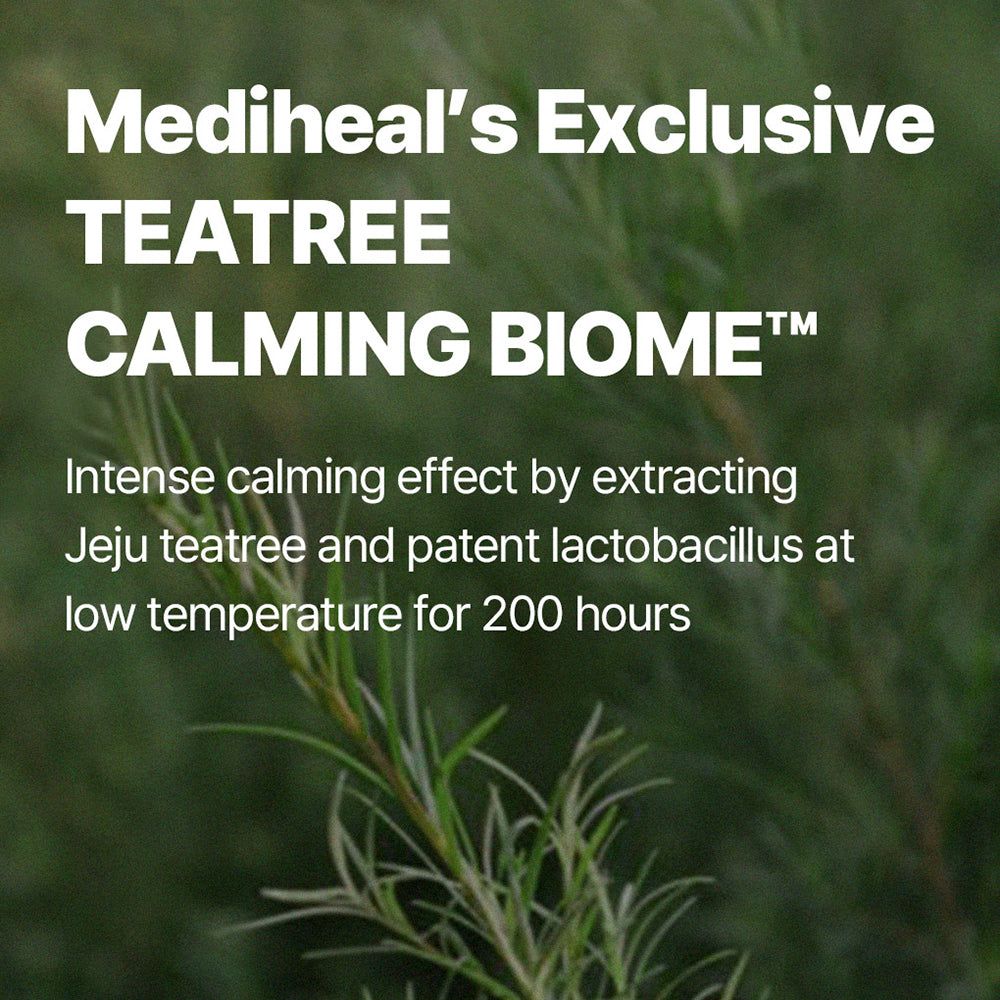 Testo "MEDIHEAL Teatree Calming Biome" su sfondo verde con ramo di albero del tè.