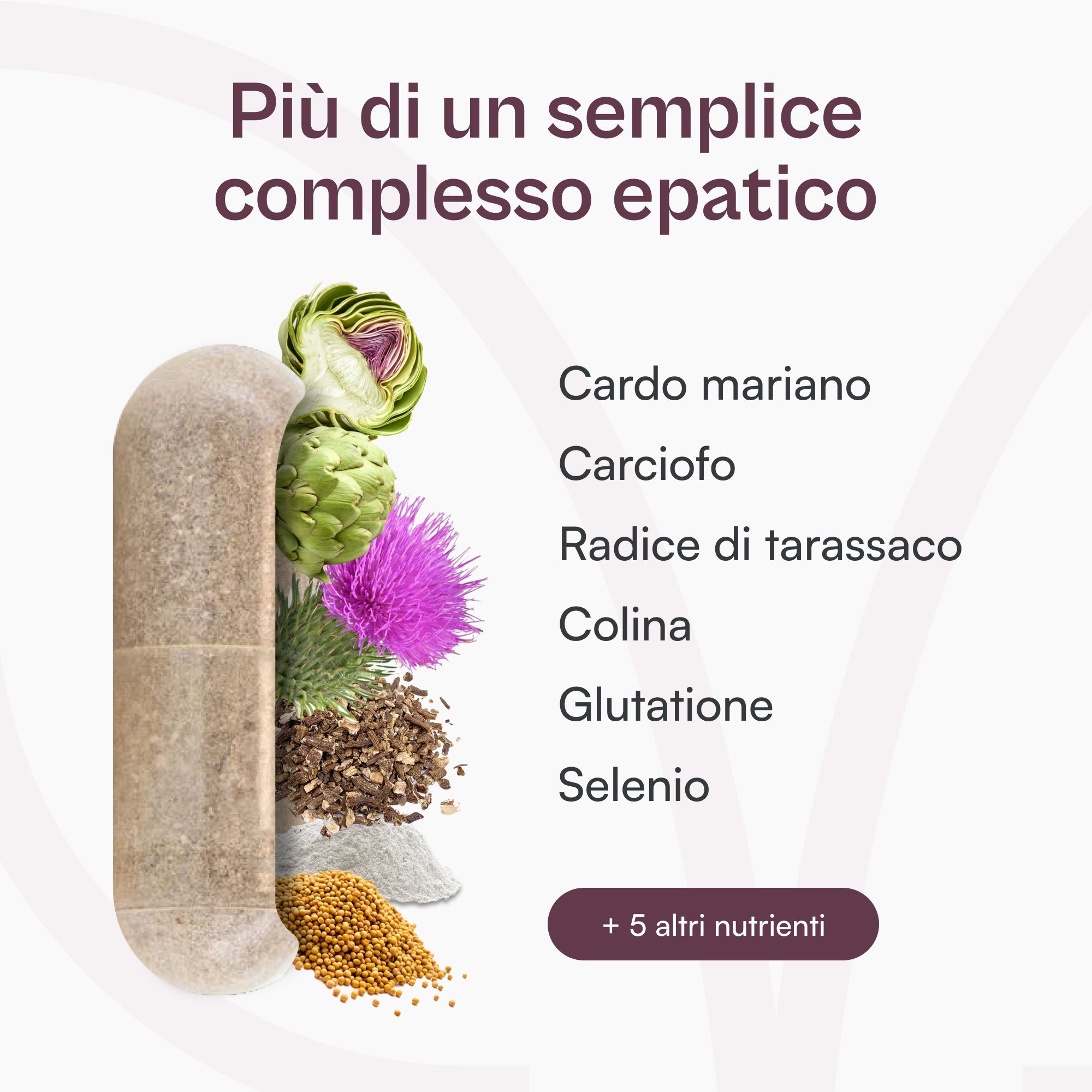 Conversol® Complesso Epatico di miavola