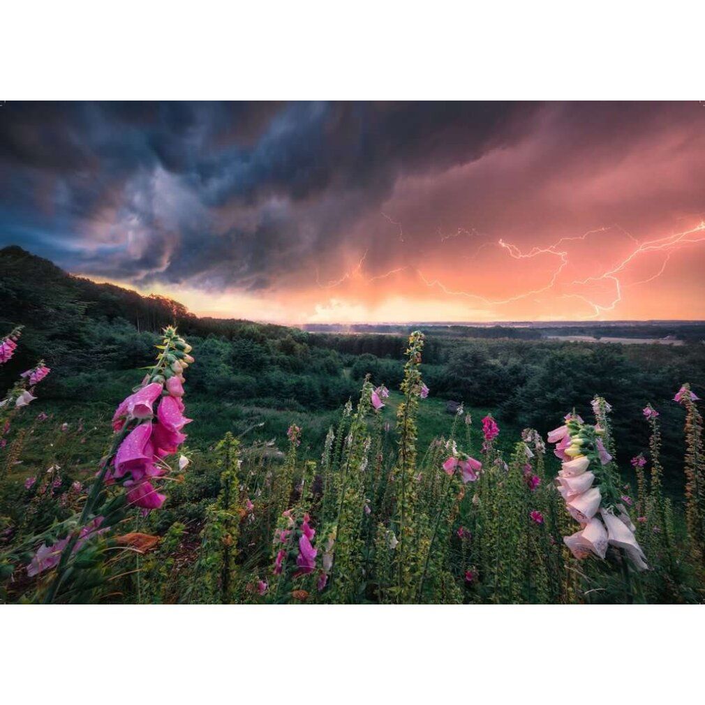 Power of Nature Puzzle a Storm Is Drawing (1000 parti)