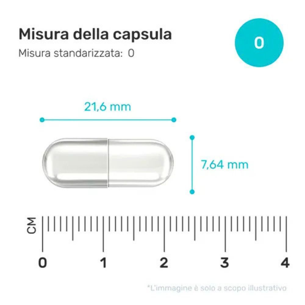 Capsula trasparente, con dimensioni: 21,6 mm di lunghezza, 7,64 mm di diametro. Taglia 0.