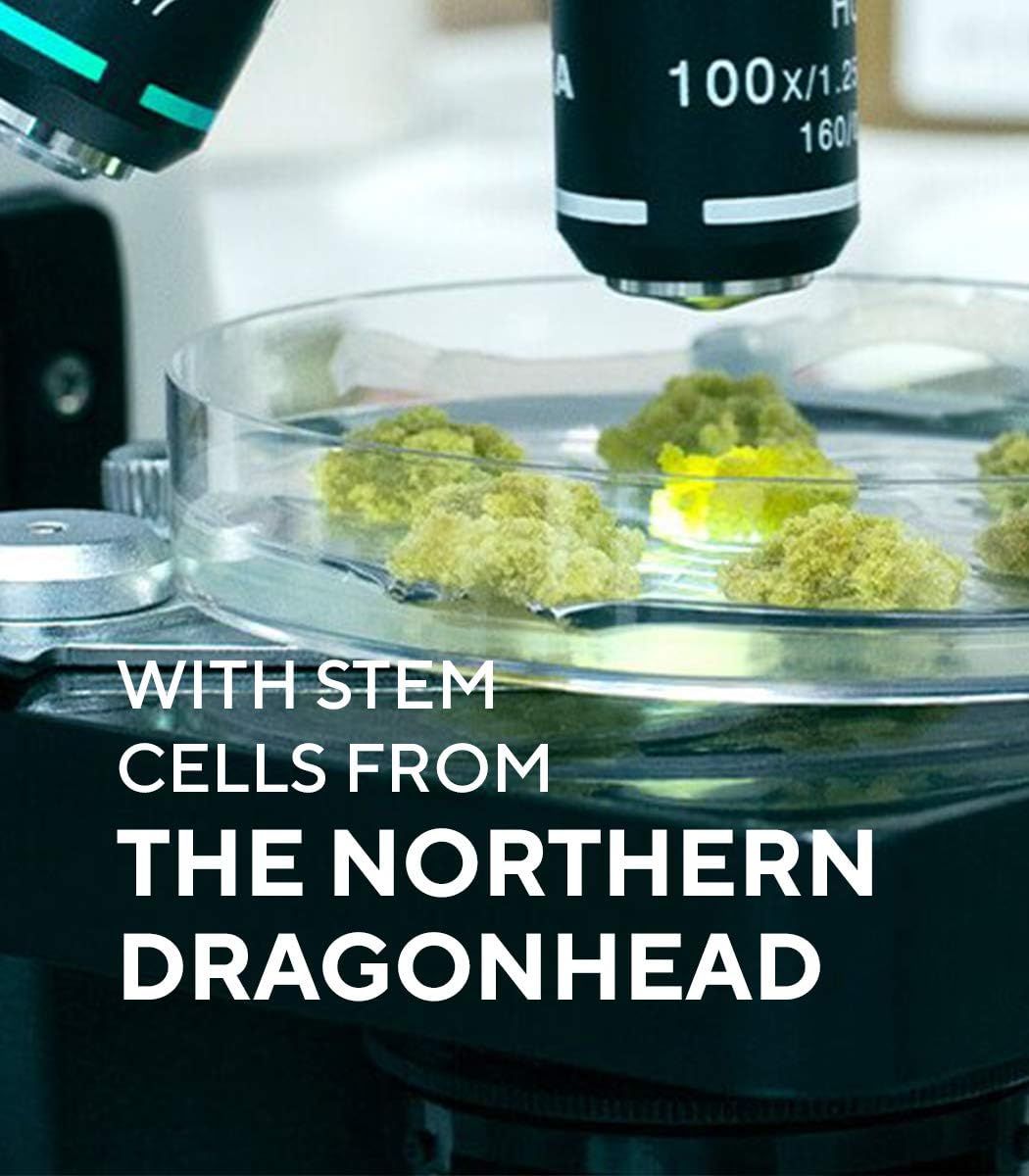 Microscopio con campioni. Testo: With Stem Cells from The Northern Dragonhead.