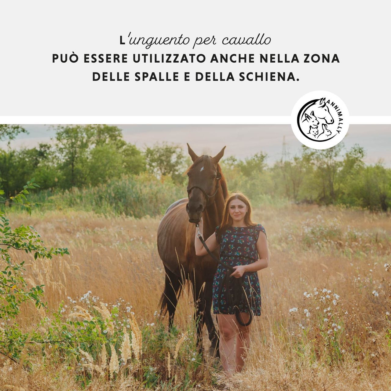 Donna con cavallo in un campo. Logo. Testo: L'unguento per cavallo può essere utilizzato anche nella zona delle spalle e della schiena.