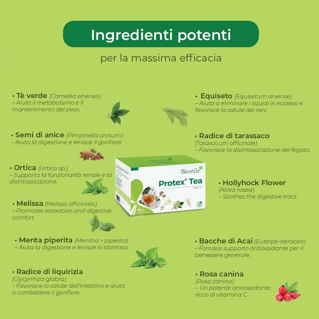 Infografica con ingredienti del tè Protex. Erbe e piante. Testo italiano. Design verde e bianco.