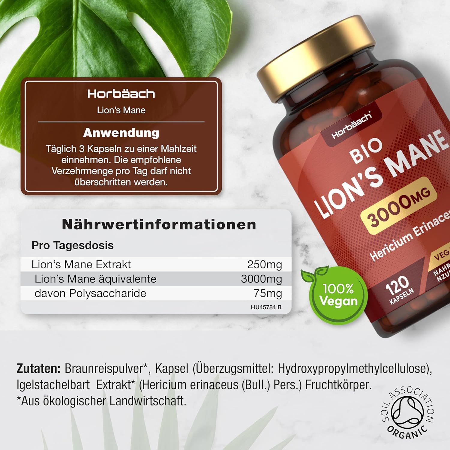 Flacone marrone con tappo dorato. Scritta: Bio Lion's Mane 3000mg, 120 capsule. Vegano. Sigillo 100% Vegano. Informazioni nutrizionali.