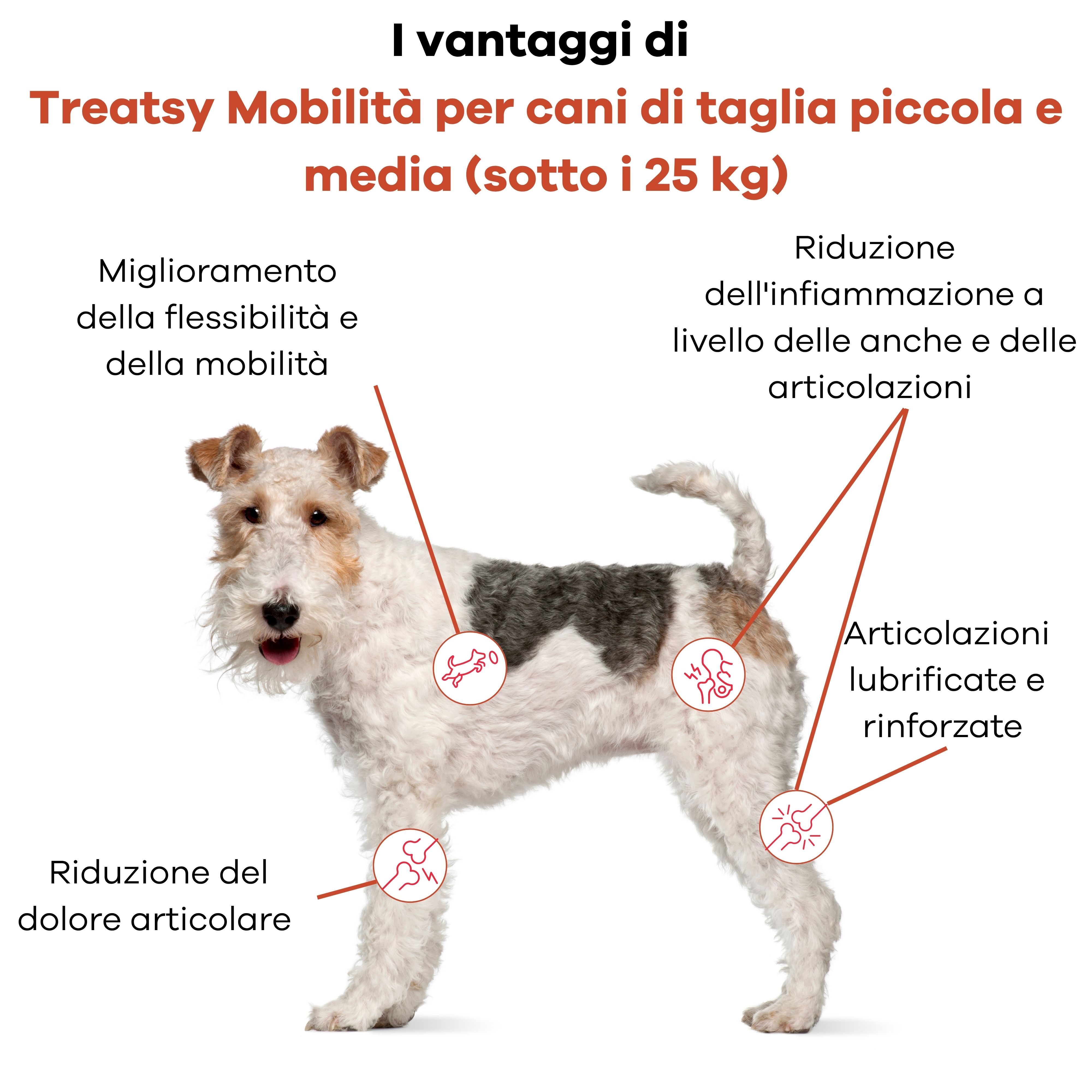 Cane con segni sulle articolazioni. Testo: Vantaggi di Treatsy Mobility per cani di piccola taglia.