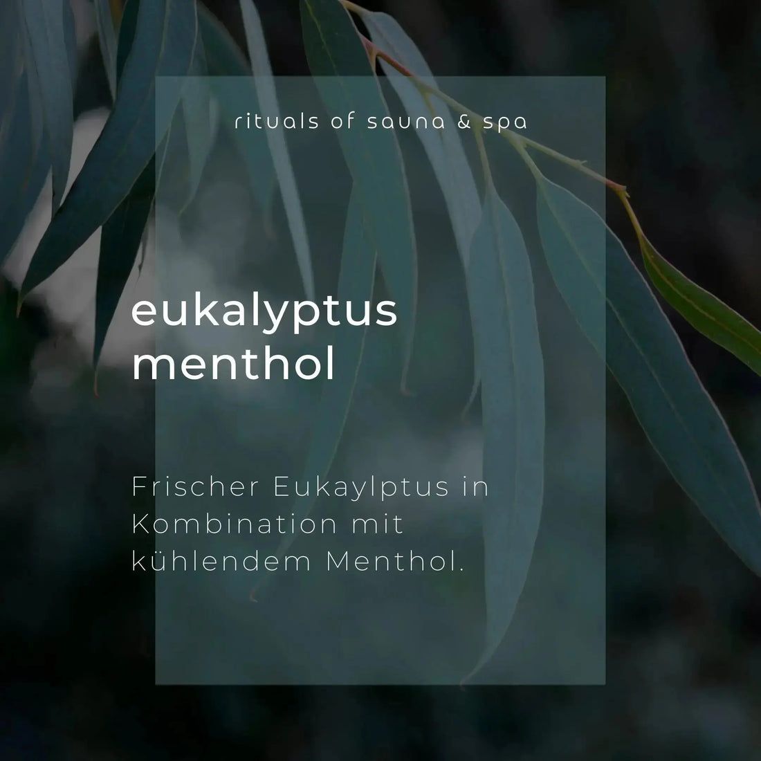 Testo su sfondo verde: Eukalyptus Menthol. Eucalipto fresco in combinazione con mentolo rinfrescante.