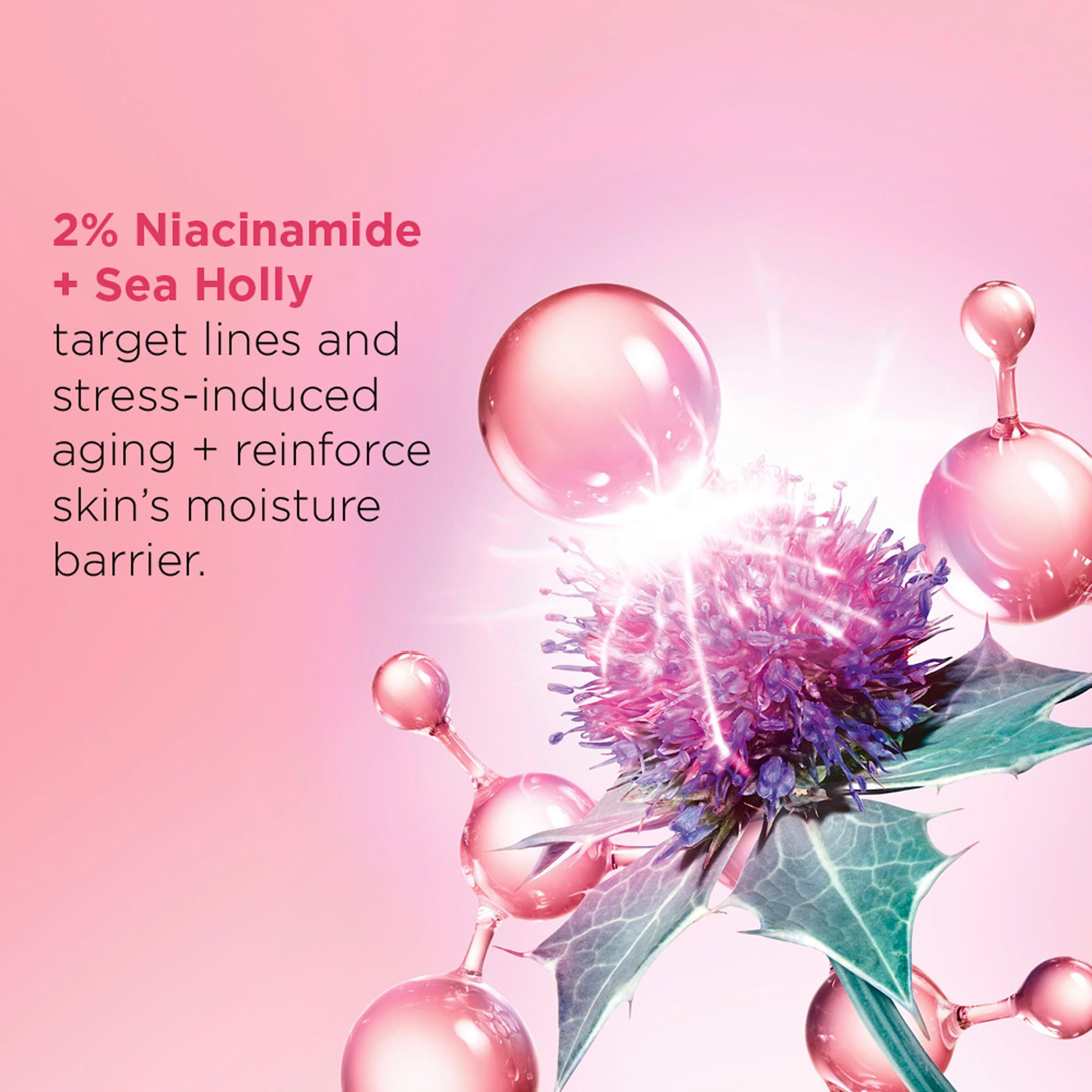 Sfondo rosa con testo: 2% Niacinamide + Sea Holly, combatte le rughe, l'invecchiamento, rinforza la barriera cutanea.