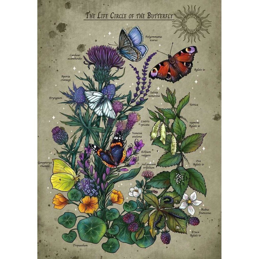 Ravensburger Lifecircle Butterfly