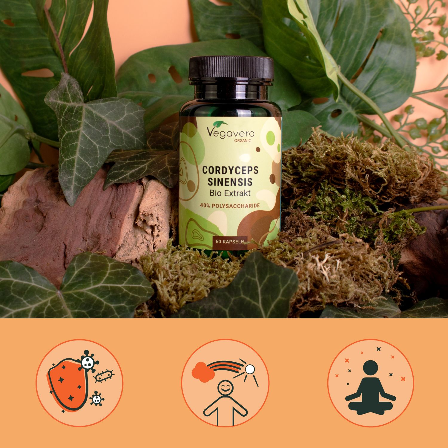 Flacone di Cordyceps Sinensis Bio Extrakt, circondato da foglie e muschio. Tre icone: scudo, arcobaleno, persona in meditazione.