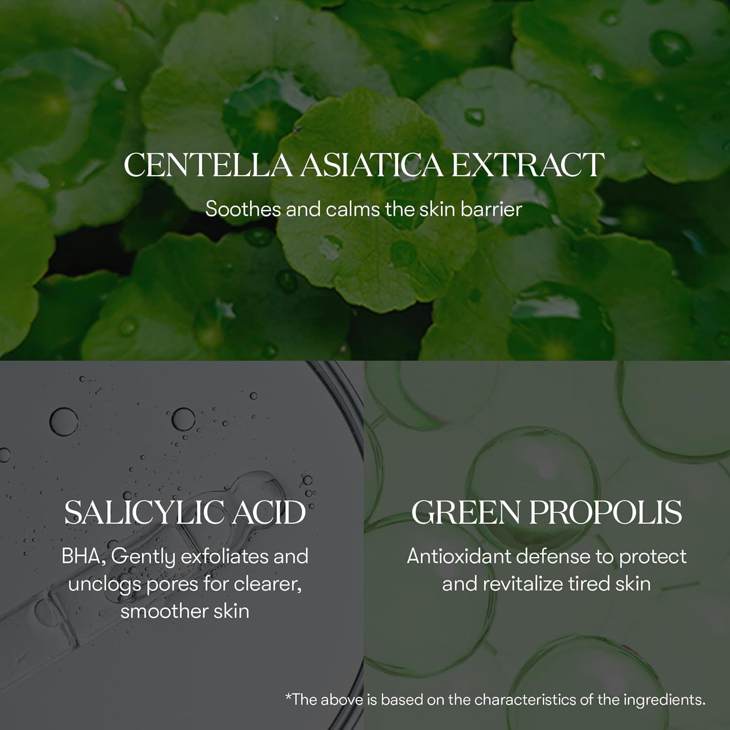 Grafico degli ingredienti: Estratto di Centella Asiatica, Acido salicilico, Propoli verde. Descrizioni degli ingredienti e dei loro effetti.